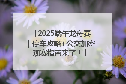 2025端午龙舟赛｜停车攻略+公交加密 观赛指南来了！
