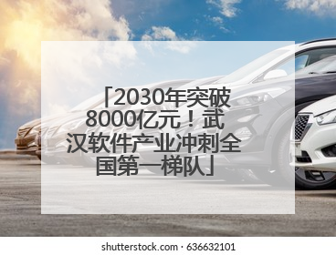 2030年突破8000亿元！武汉软件产业冲刺全国第一梯队