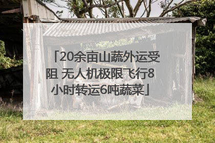 20余亩山蔬外运受阻 无人机极限飞行8小时转运6吨蔬菜