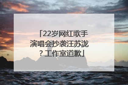 22岁网红歌手演唱会抄袭汪苏泷？工作室道歉