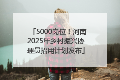 5000岗位！河南2025年乡村振兴协理员招用计划发布