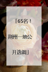 65名！荆州一地公开选调
