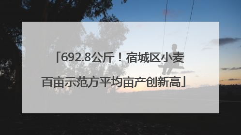 692.8公斤！宿城区小麦百亩示范方平均亩产创新高