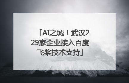 AI之城！武汉229家企业接入百度飞桨技术支持