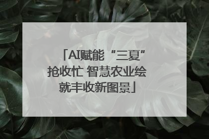 AI赋能“三夏”抢收忙 智慧农业绘就丰收新图景