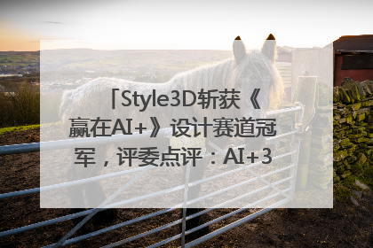 Style3D斩获《赢在AI+》设计赛道冠军，评委点评：AI+3D技术世界第一