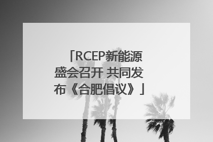 RCEP新能源盛会召开 共同发布《合肥倡议》